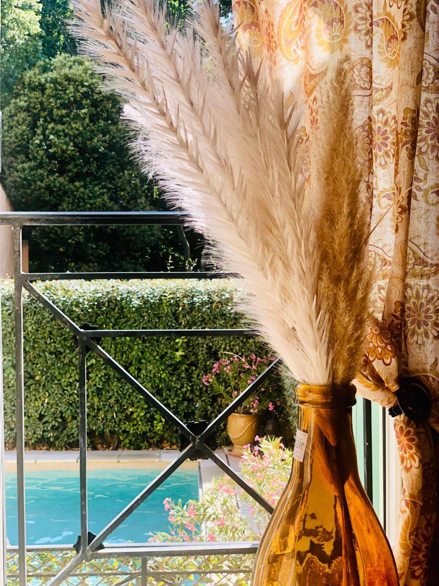 Logis Hotel Et Restaurant La Bastide Cabezac Bize-Minervois Bagian luar foto