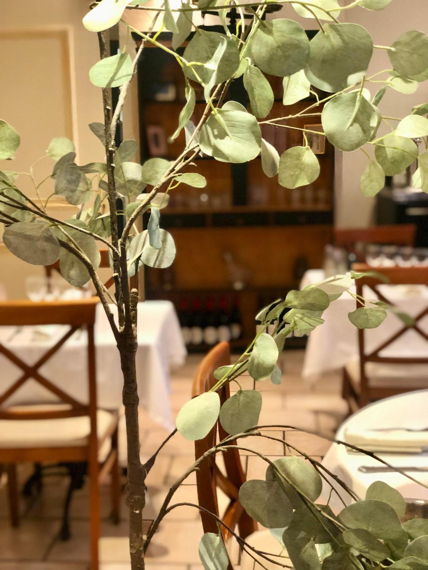 Logis Hotel Et Restaurant La Bastide Cabezac Bize-Minervois Bagian luar foto